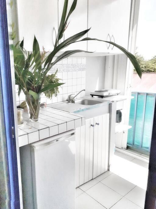 Superbe Studio, A 20 Metres De La Plage, Acces Direct Grande Plage Diamant Le Diamant Eksteriør billede